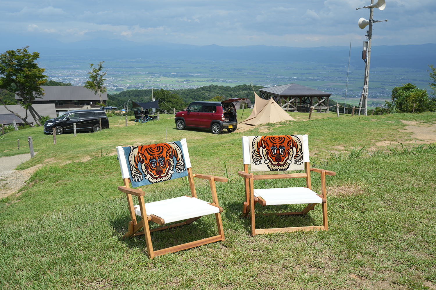 tiger with wings image